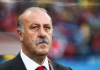 Técnico da Espanha responde quiz e coloca Garrincha no Santos