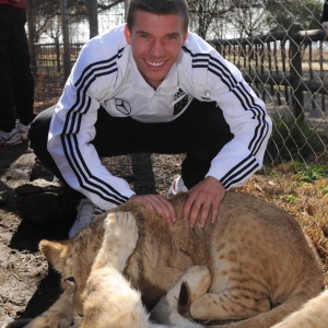 Podolski se diverte com filhote de leo. Atividade no zoo serve para relaxar o grupo, diz o lateral Lahm
